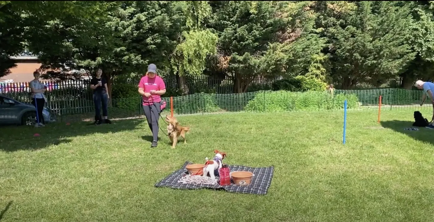 Screenshot 2022 07 12 at 12.25.29