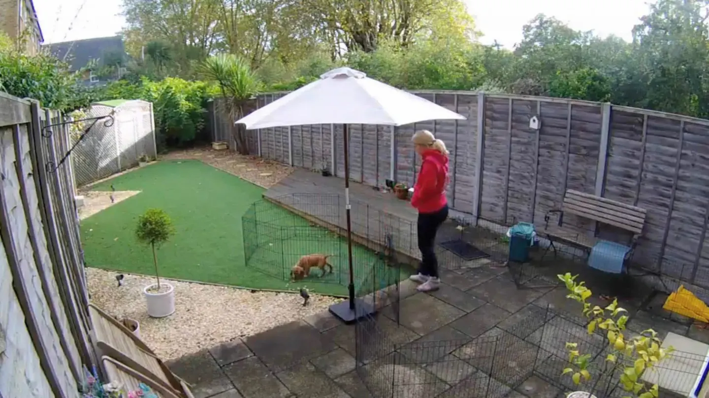 Rocket toilet break in garden