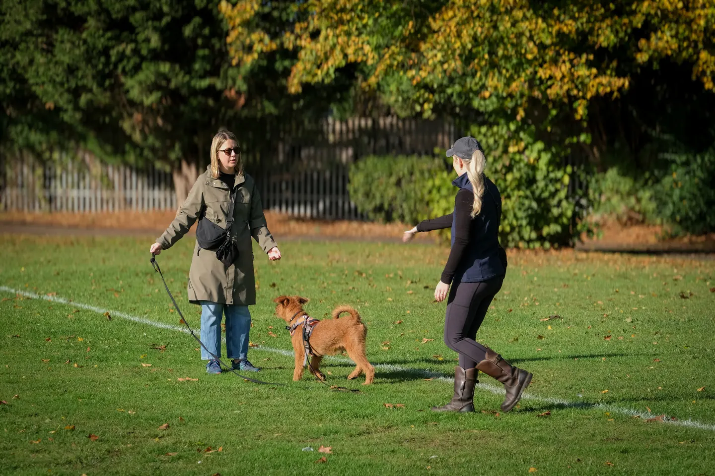 Horton Dogs Cathy With One To One Student DSCF