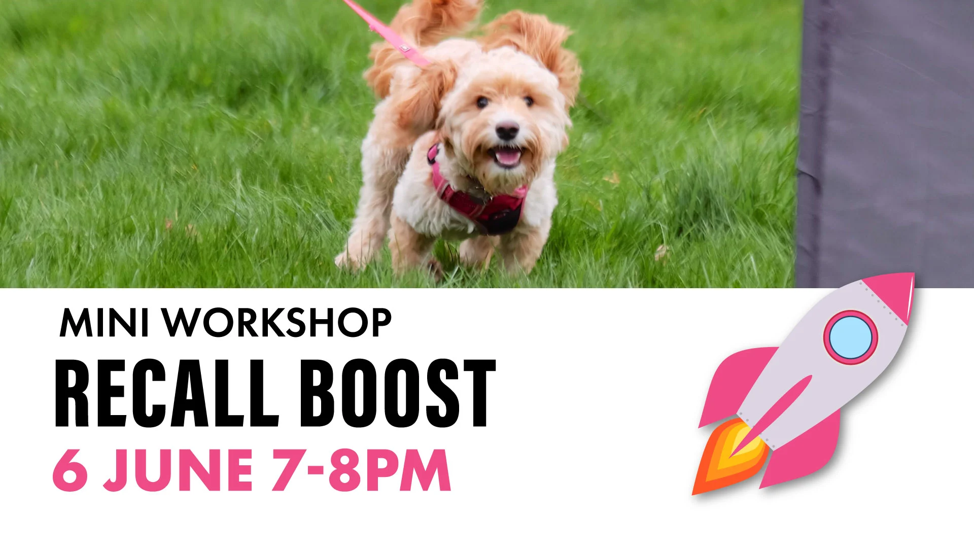 fb event cover mini workshops recall