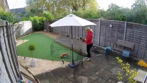 Rocket toilet break in garden