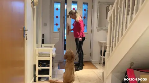 Horton Dogs Training Game Cover For Doorway Manners Sit Wait