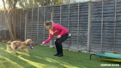 Horton Dogs Training Game Cover For Teaching A Drop