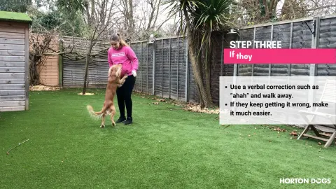 Horton Dogs Training Game Cover For No Jumping Up