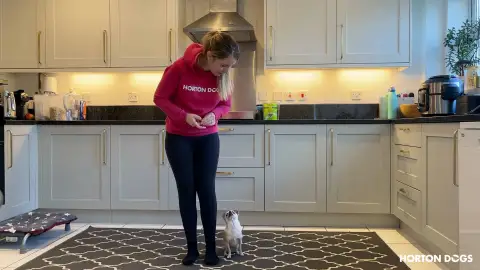 Horton Dogs Training Game Cover For Heel Position Lead Walking