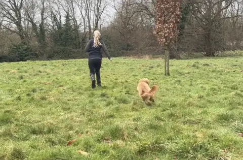 Screenshot At|Horton Dogs Training Game Cover For Proximity Zone