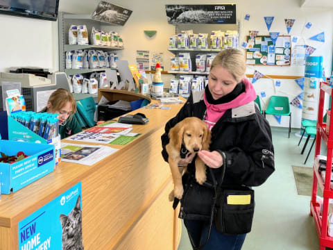 Cathy and Rocket golden cocker spaniel puppy at reception chessington vets