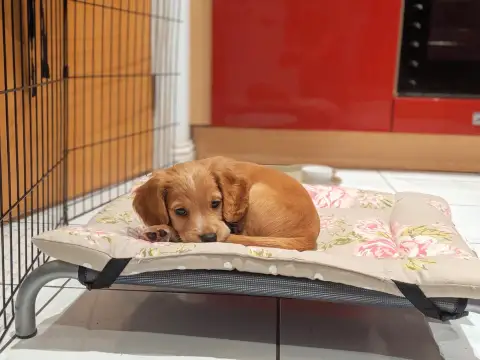 00100lPORTRAIT 00100 BURST20190930184437158 COVER