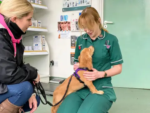 Cathy and Rocket cocker spaniel at chessington vets