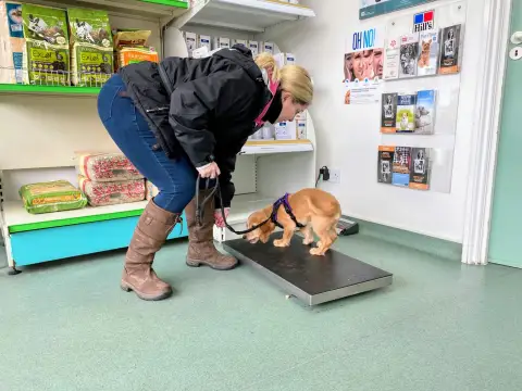 Cathy and Rocket on vets scales