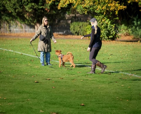 Horton Dogs Cathy With One To One Student DSCF
