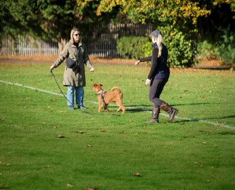 Horton Dogs Cathy With One To One Student DSCF Px