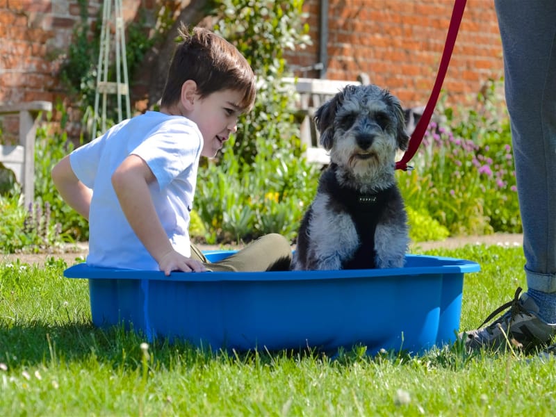 dog and kid in blue tub in class