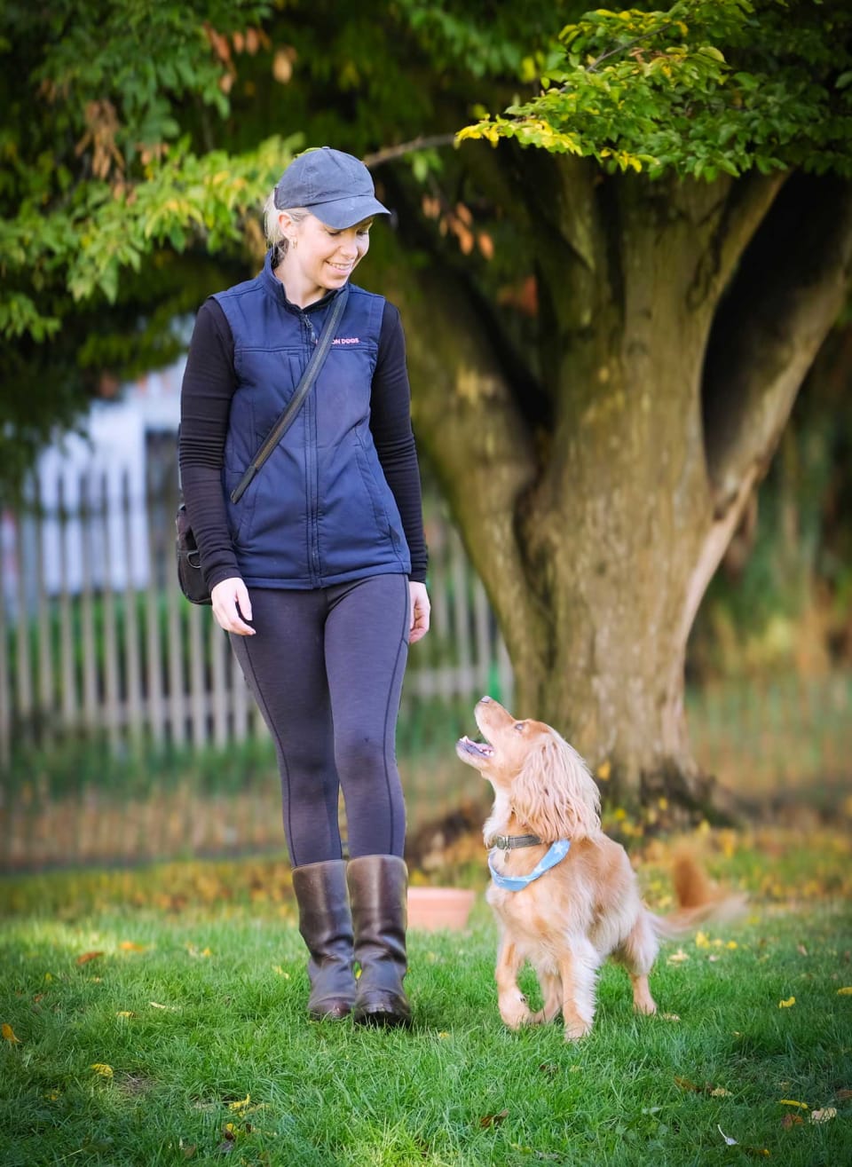 Horton Dogs Cathy Walking Loose Off Lead With Rocket Gold Cocker Spaniel