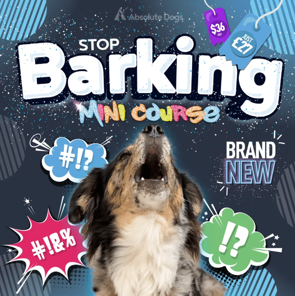 Screenshot 2022 06 13 at 12.32.58