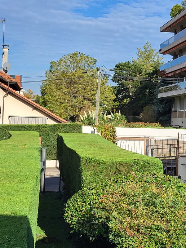 Taille végétaux haies Lyon