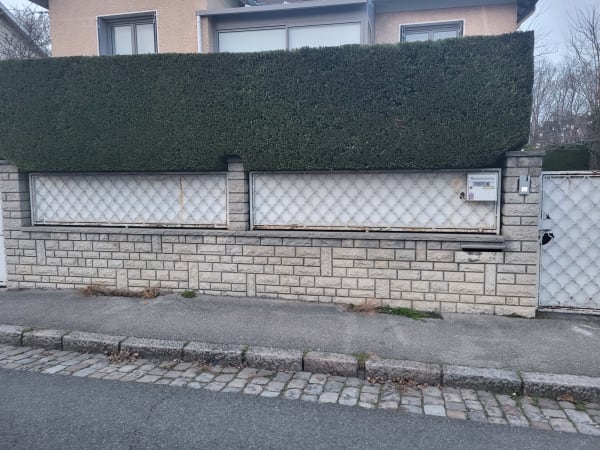 Taille végétaux haies Lyon