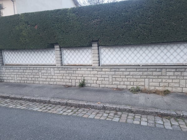 Taille végétaux haies Lyon