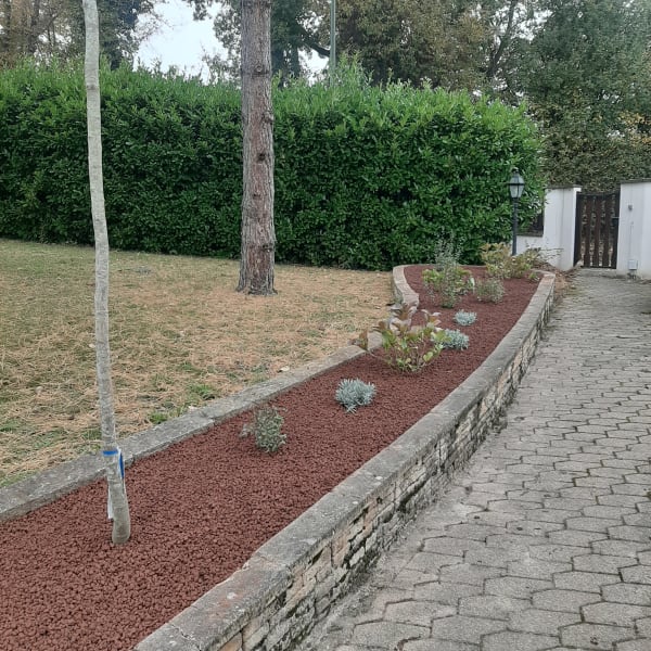 Plantation arbres arbustes Lyon