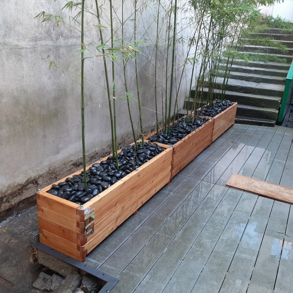 Plantation arbres arbustes Lyon