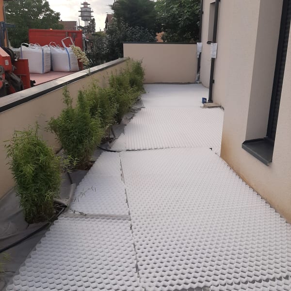 Plantation arbres arbustes Lyon