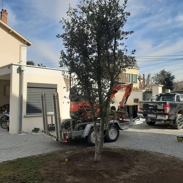 Plantation arbres arbustes Lyon