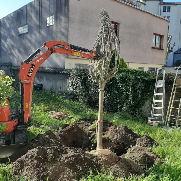 Plantation arbres arbustes Lyon