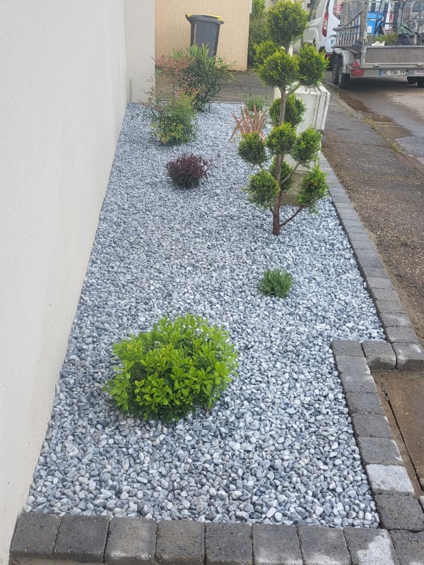 Plantation arbres arbustes Lyon