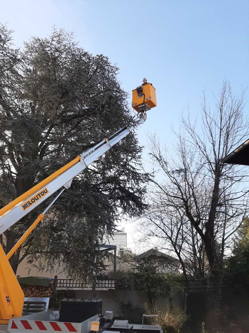 Élagage nacelle Lyon