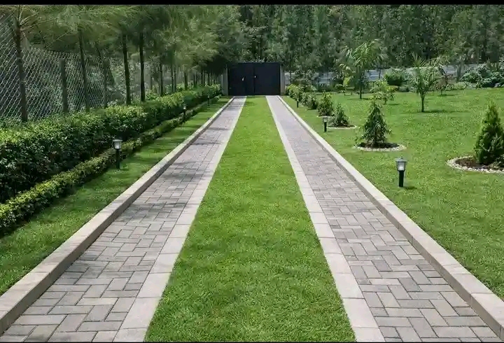 Landscape designer reviewing a garden plan on site in a green compound