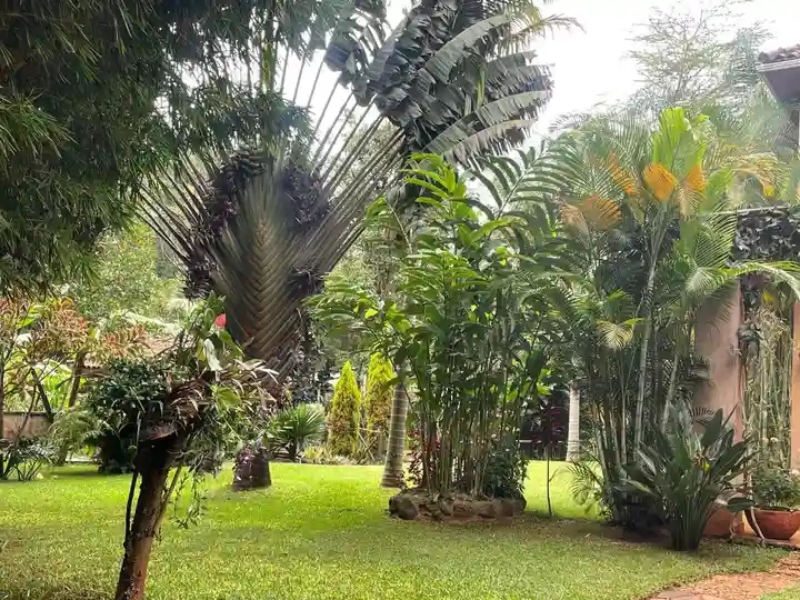 Garden Design by Rapsum Design Solutions