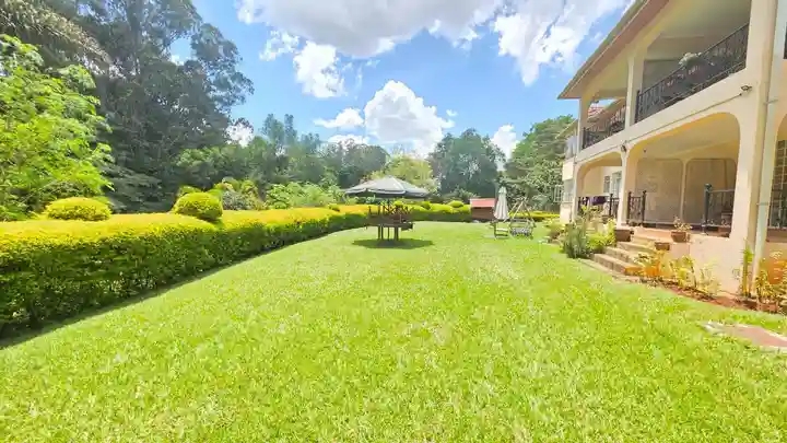 Grass Cutting by Rapsum Design Solutions