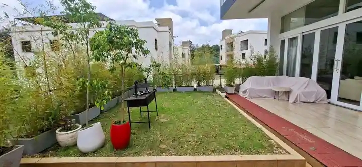 Landscape designer reviewing a garden plan on site in a green compound