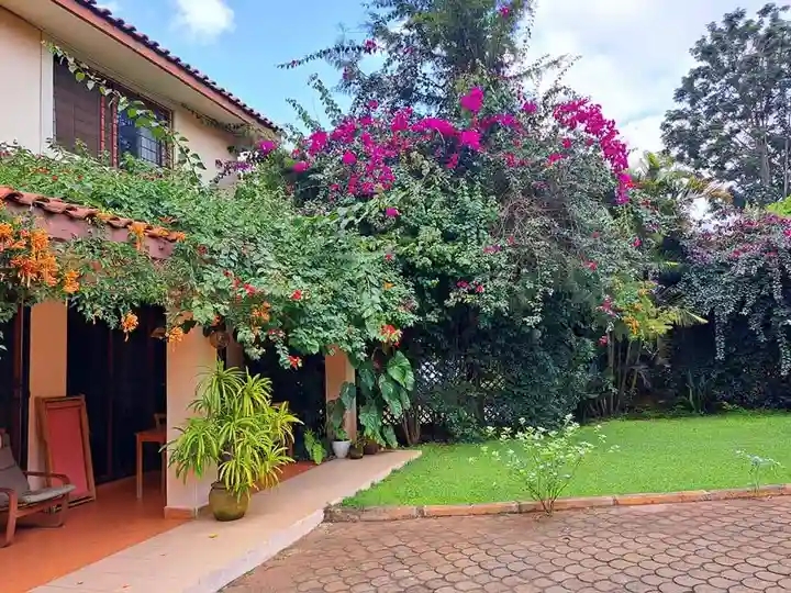 Gardener pruning shrubs and tending flower beds in a maintained garden