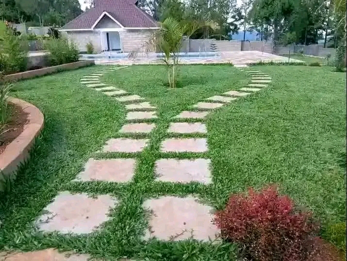 Residential Compound Landscaping — Landscaping project