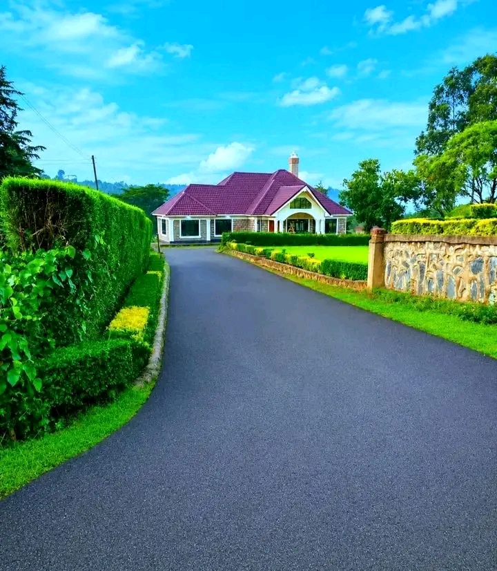 Lawn Care & Grass Cutting Programme — Grass Cutting project