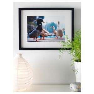 IKEA RIBBA Frame 30x40CM Black