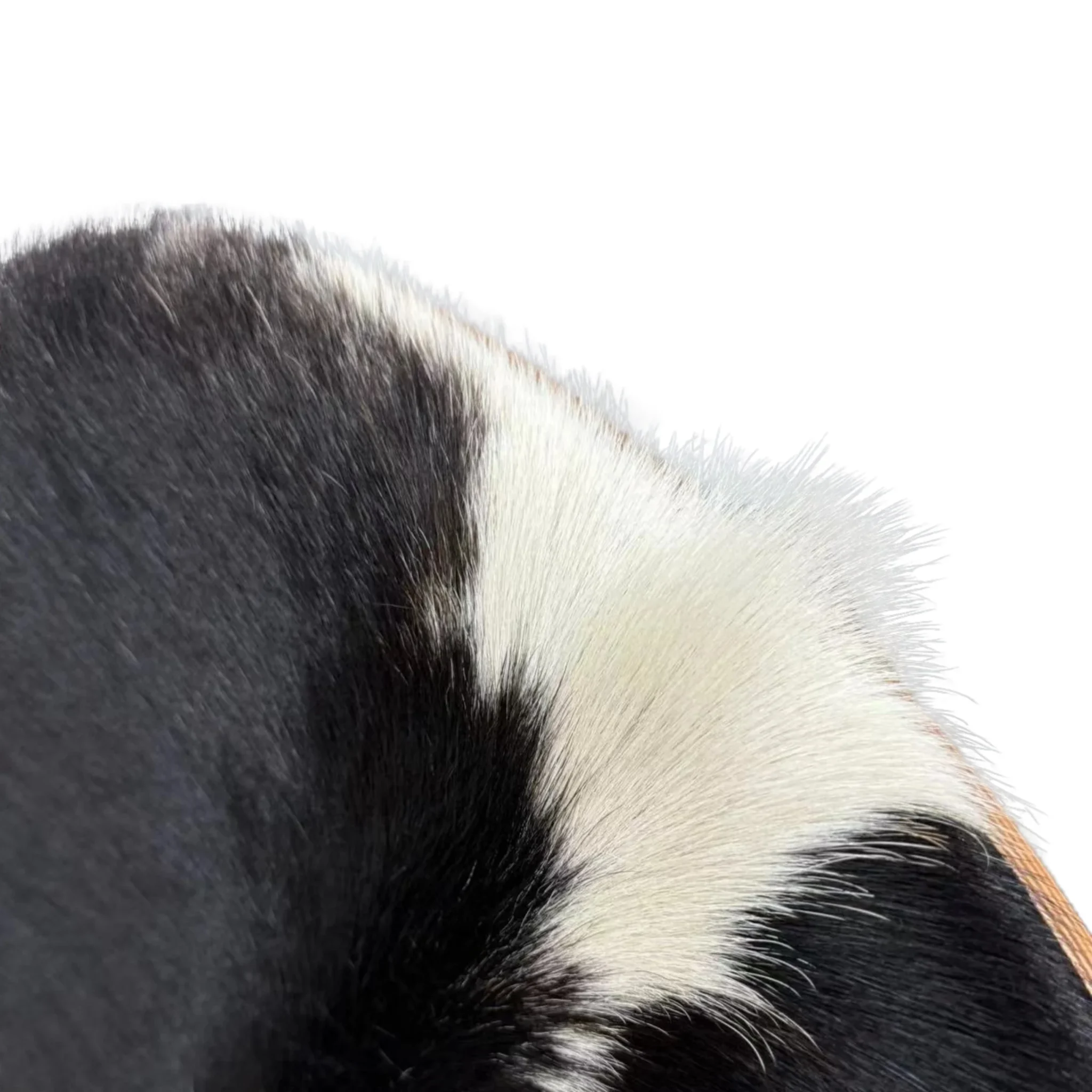 MODE Hans Wegner Shell Chair CH07 Replica, Cowhide