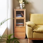 Solidwood Amber 2-Tier Storage Cabinet with 2 Drawers