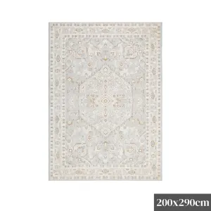 DreamWeaver Trend Medallion Transitional Rug, Beige Multi, 200x290cm