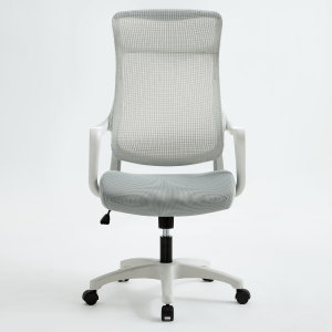 Linspire Lumina Ergonomic Office Chair