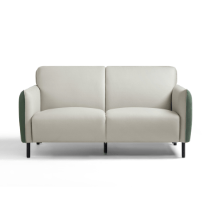 Linspire Gemini 2-Seater Leathaire Sofa, Grey & Moss Green