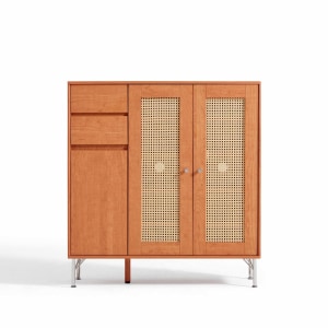 Linspire Verve Shoe Cabinet