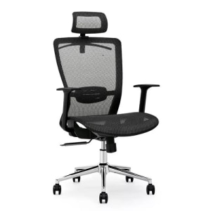 Loctek YZ101 Ergonomic Office Chair, Black