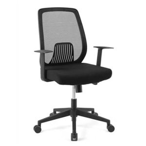 Loctek YZ201 Ergonomic Office Chair, Black