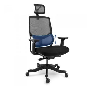 Loctek YZ502 Ergonomic Office Chair, Black