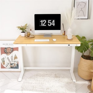 Loctek Et118 All-in-One Standing Desk, With 2 USB-A + 1 USB-C Charging Port, Pull-out Drawer, 1200*600mm, Maple, White