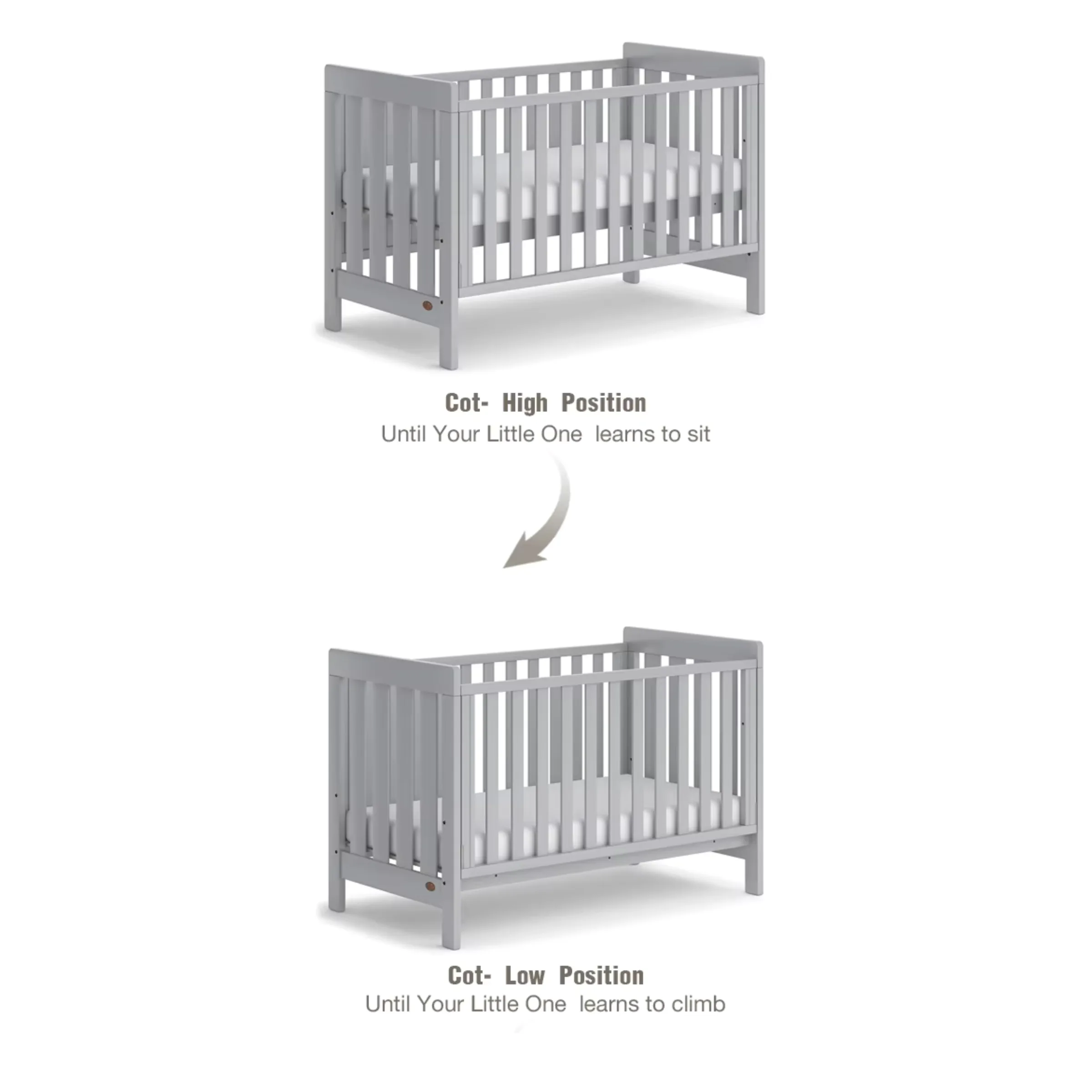 Boori Daintree Kids Baby Cot, Almond