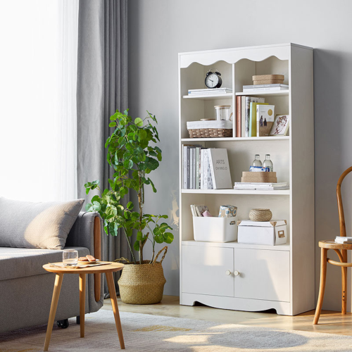 Linspire Renley Bookshelf with Storage Cabinet, White