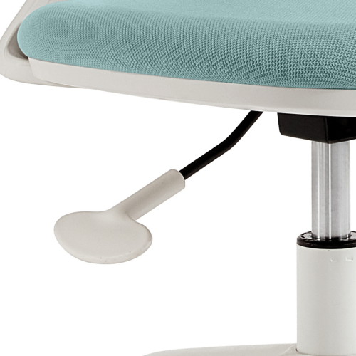 Linspire Hygge Office Chair, Teal